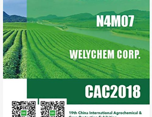 MEET WELYCHEM AT BOOTH No.N4M07 of CAC 2018 IN SHANGHAI