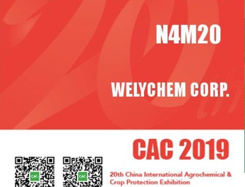 MEET WELYCHEM AT BOOTH No.N4M20 of CAC 2019 IN SHANGHAI