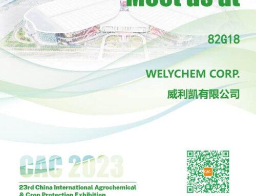 MEET WELYCHEM AT BOOTH No.82G18 of CAC 2023 IN SHANGHAI