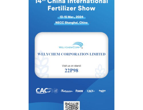 MEET WELYCHEM AT BOOTH No.22P98 of CAC 2024 IN SHANGHAI